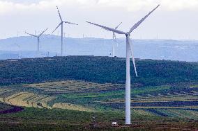 Huiteng Xile Grassland in Ulanqab, China