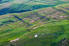 Huiteng Xile Grassland in Ulanqab, China