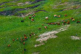 Huiteng Xile Grassland in Ulanqab, China