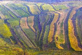 Huiteng Xile Grassland in Ulanqab, China