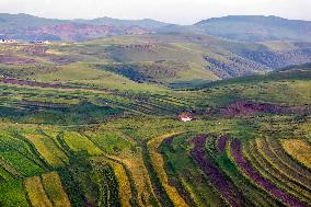 Huiteng Xile Grassland in Ulanqab, China