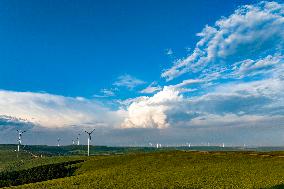 Huiteng Xile Grassland in Ulanqab, China