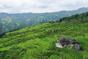 Jiapang Rice Terraces  in Congjiang, China