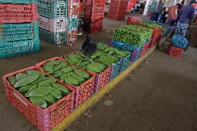 Daily Life In Milpa Alta, Mexico City