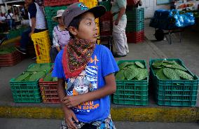 Daily Life In Milpa Alta, Mexico City