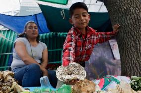 Daily Life In Milpa Alta, Mexico City