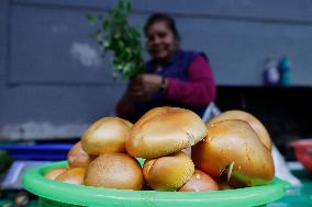 Daily Life In Milpa Alta, Mexico City