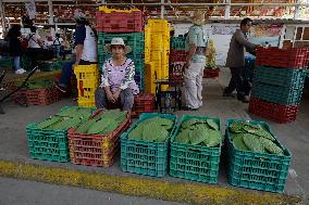 Daily Life In Milpa Alta, Mexico City