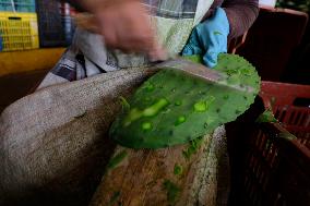 Daily Life In Milpa Alta, Mexico City