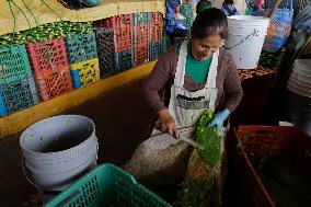 Daily Life In Milpa Alta, Mexico City