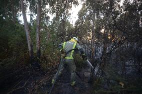 Forest Fire Rages in Galicia - Spain