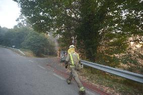 Forest Fire Rages in Galicia - Spain