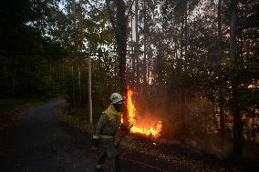 Forest Fire Rages in Galicia - Spain