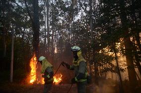 Forest Fire Rages in Galicia - Spain