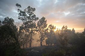 Forest Fire Rages in Galicia - Spain