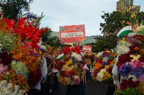 Medellin 'Feria de las Flores' - Silleteros Parade