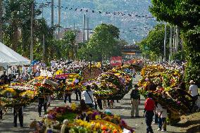Medellin 'Feria de las Flores' - Silleteros Parade
