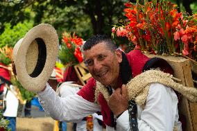 Medellin 'Feria de las Flores' - Silleteros Parade