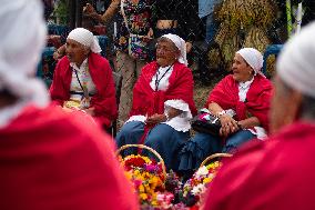 Medellin 'Feria de las Flores' - Silleteros Parade