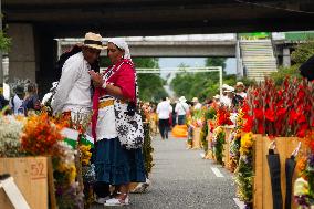 Medellin 'Feria de las Flores' - Silleteros Parade