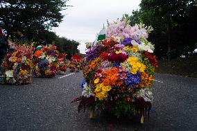 Medellin 'Feria de las Flores' - Silleteros Parade