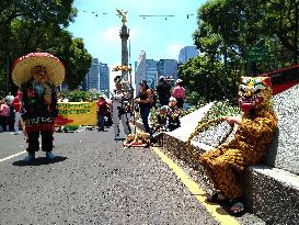 International Day of Indigenous People - Mexico City