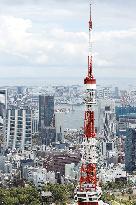 Tokyo Tower and Tokyo Bay