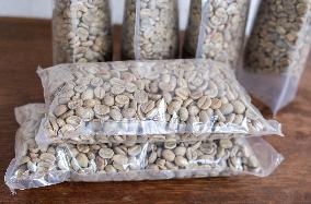 UGANDA-KAMPALA-AFRICAN COFFEE-TRADE