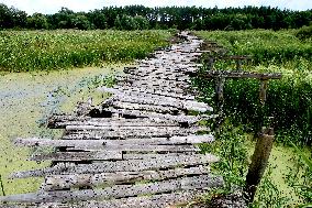 Wooden pedestrian bridge in Kaplyntsi village