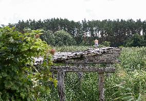 Wooden pedestrian bridge in Kaplyntsi village