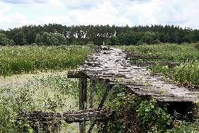 Wooden pedestrian bridge in Kaplyntsi village