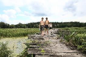 Wooden pedestrian bridge in Kaplyntsi village