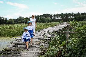 Wooden pedestrian bridge in Kaplyntsi village