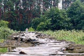 Wooden pedestrian bridge in Kaplyntsi village