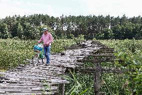 Wooden pedestrian bridge in Kaplyntsi village