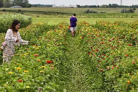 Flower Farm