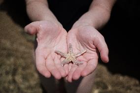A Girl Found A Starfish