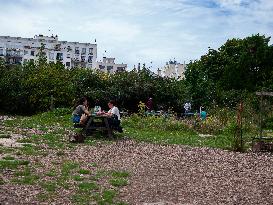 Popular Ecological Garden - Paris