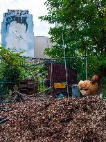 Popular Ecological Garden - Paris