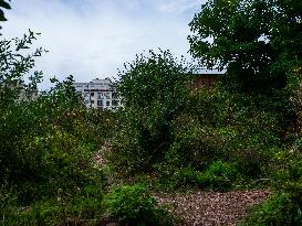 Popular Ecological Garden - Paris