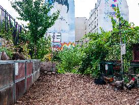 Popular Ecological Garden - Paris