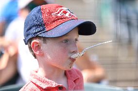 Binghamton Rumble Ponies Vs Somerset Patriots