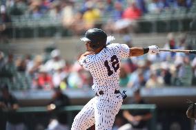 Binghamton Rumble Ponies v Somerset Patriots