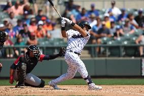 Binghamton Rumble Ponies v Somerset Patriots