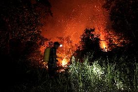 INDONESIA-RIAU-PEATLAND FIRE