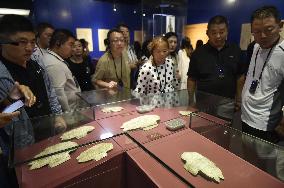 CHINA-HENAN-MUSEUM-TRADITIONAL CHINESE CULTURE (CN)
