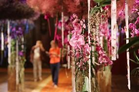 BELGIUM-BRUSSELS-FLOWERTIME-EXHIBITION