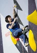 Sport Climbing: World championships