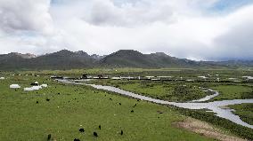 Winding Rivers in the China Wulianghe National Wetland Park in Ganzi