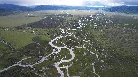 Winding Rivers in the China Wulianghe National Wetland Park in Ganzi